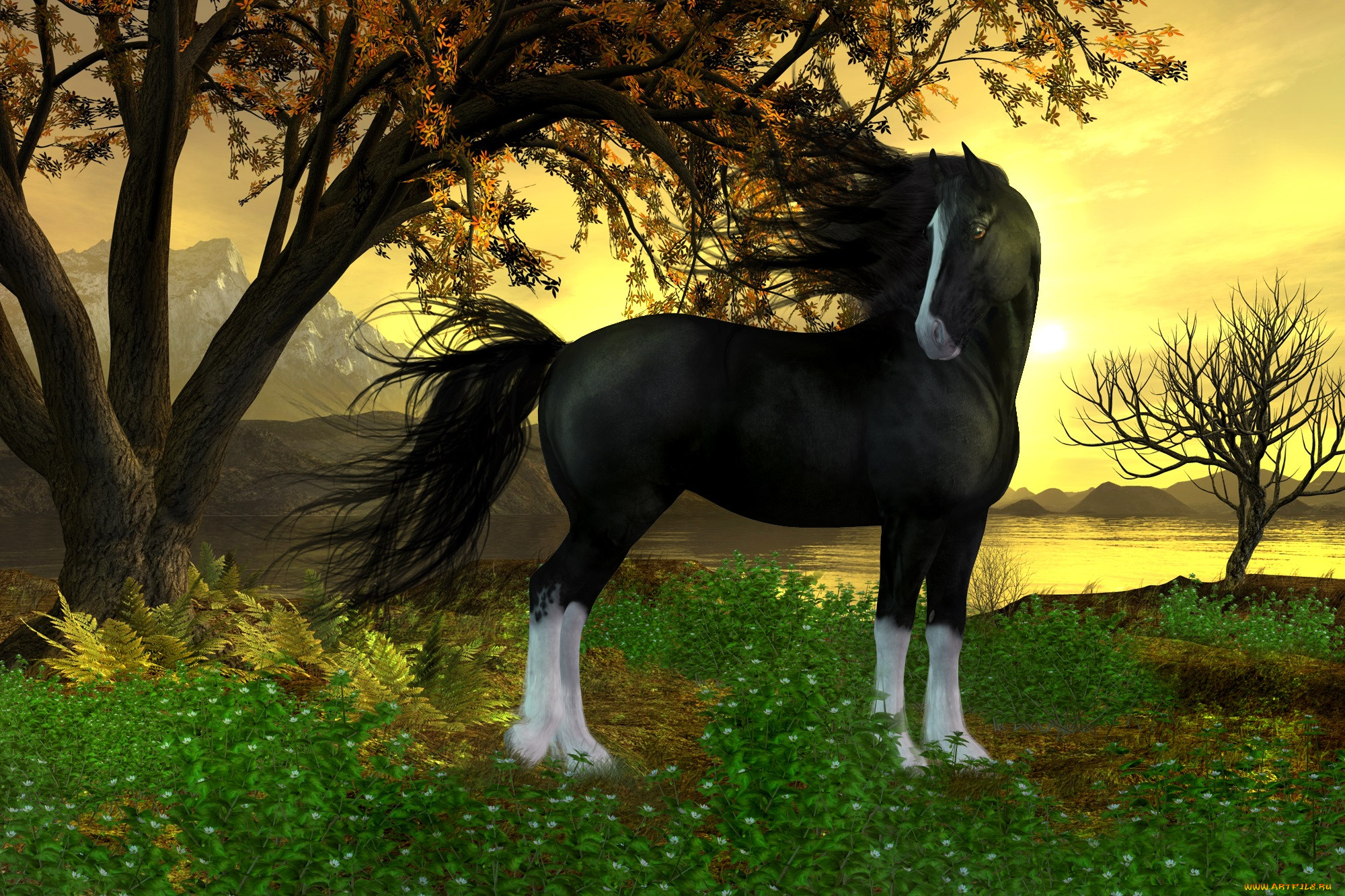 3 ,  , animals, , , , 